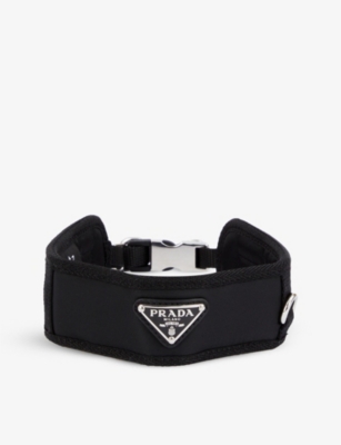 Selfridges 2024 dog collar