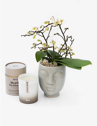 YOUR LONDON FLORIST: Tenderness orchid and scented candle gift set