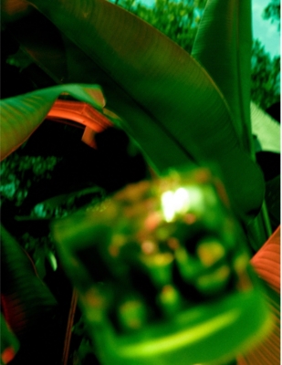 VYRAO: I Am Verdant Eau de Parfum 50ml