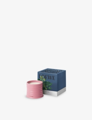 LOEWE: Ivy Small Scented Candle 170g