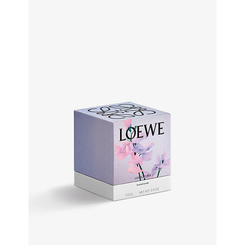Shop Loewe Luscious Pea Scented Candle 170g