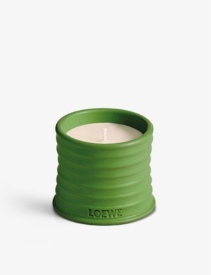 Shop Loewe Luscious Pea Scented Candle 170g