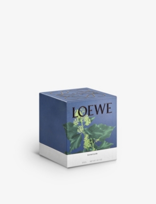 LOEWE: Ivy Medium Scented Candle 1.15kg