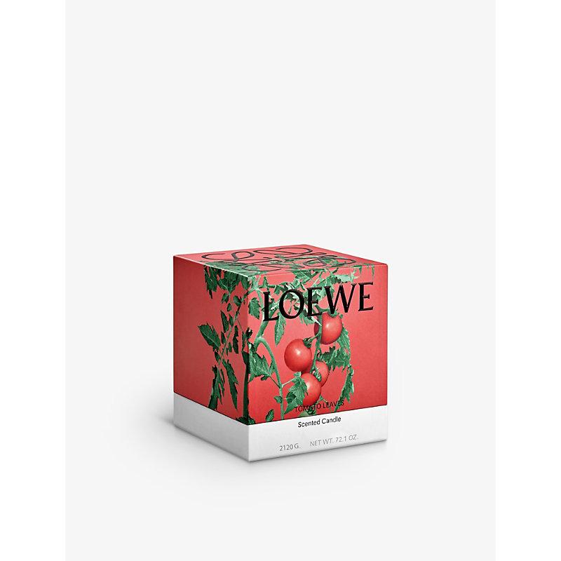 Shop Loewe Tomato Leaves Large Scented Candle 2120g