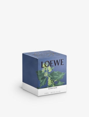 LOEWE: Ivy Large Scented Candle 2120g