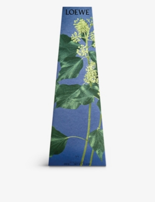 LOEWE: Ivy Scented Candlestick Candle 330g