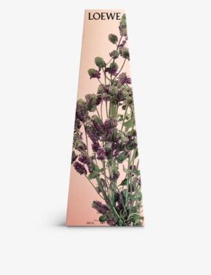 LOEWE: Oregano Scented Candlestick Candle 330g