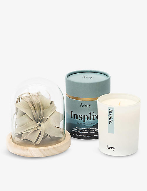 YOUR LONDON FLORIST: Father's Day air plant and scented candle gift set