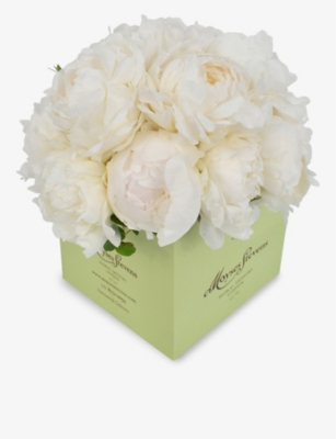 MOYSES STEVENS: White Double peonies bouquet