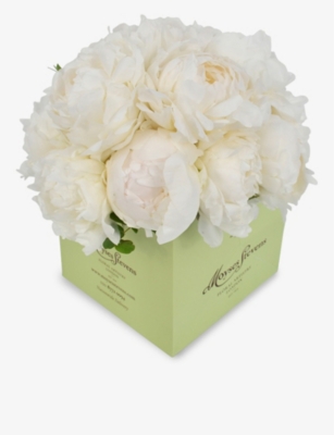 MOYSES STEVENS: White Double peonies bouquet