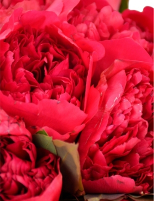 MOYSES STEVENS: Moonstruck bouquet
