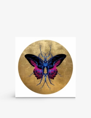 Maxim Therapy limite...