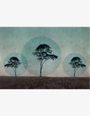 Claire Newman-Willia...