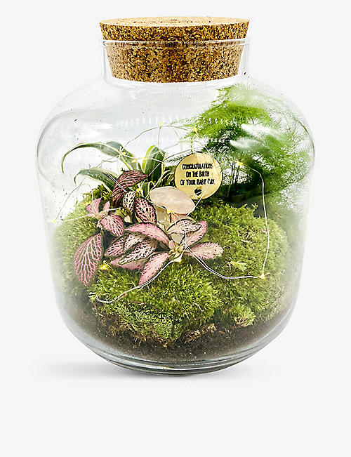 THE URBAN BOTANIST: Baby Girl Grande Ecosystem recycled-glass terrarium with lights