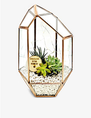 THE URBAN BOTANIST: Wedding Gift copper gem recycled-glass terrarium with lights