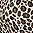 0oz Leopard Print - icon