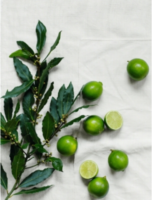 THE WHITE COMPANY: Lime and Bay hand and nail cream 250ml