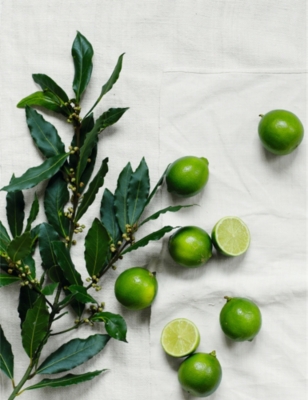 THE WHITE COMPANY: Lime and Bay large scented candle 770g