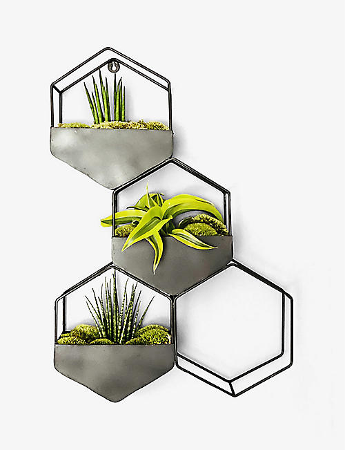 THE URBAN BOTANIST: Hexagrande Succulent Living Wall planter