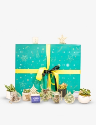 Plant Advent Calendar 2023 - A Luxury Home Interiors Advent Calendar – The  Urban Botanist