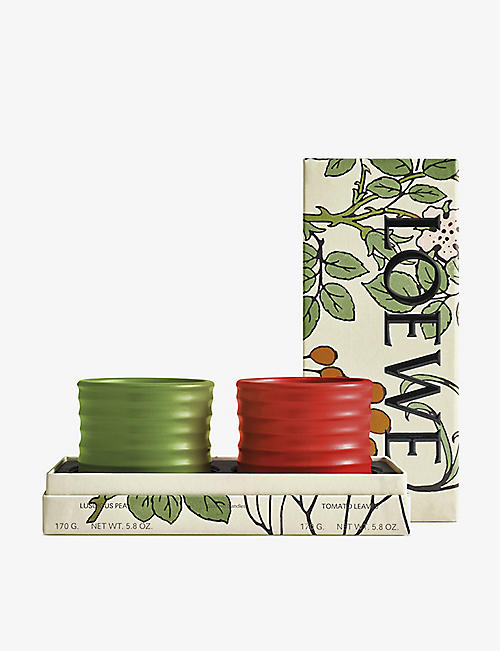 LOEWE: Luscious Pea and Tomato Leaves scented candle gift set