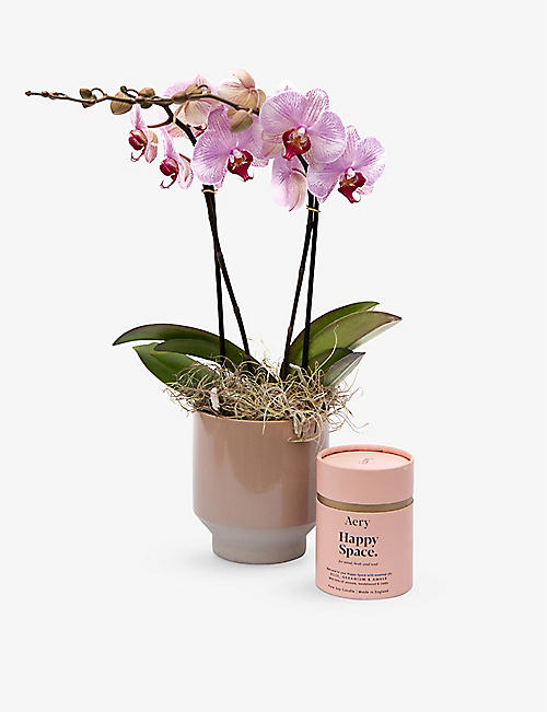 YOUR LONDON FLORIST: Lipstick orchid and scented candle gift set