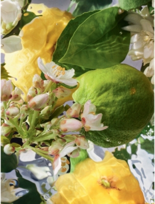 GUERLAIN: Aqua Allegoria Bergamote Calabria eau de toilette refill