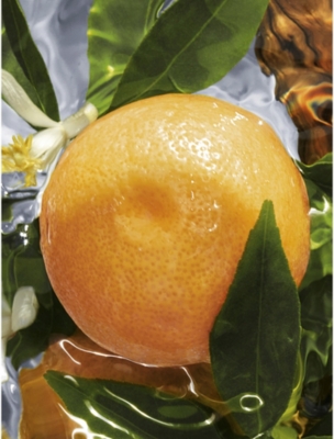 Guerlain Aqua Allegoria Pamplelune Eau De Toilette In No Color