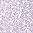 Lilac Sequins - icon