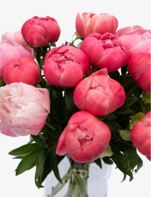 YOUR LONDON FLORIST: Coral Charm peonies fresh bouquet