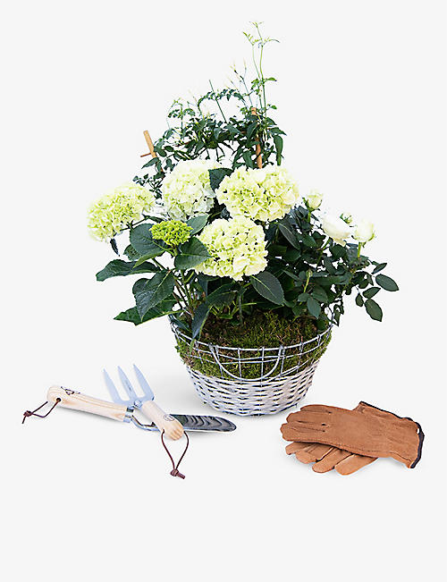 YOUR LONDON FLORIST: White hydrangea, rosemary and rose plants in zinc and wicker basket gift set