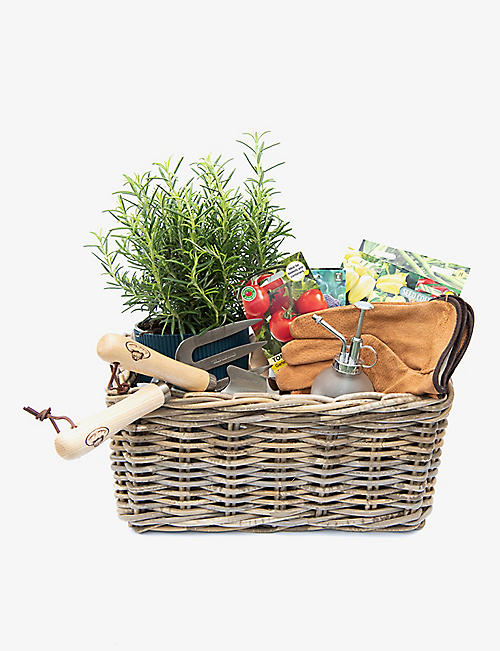 YOUR LONDON FLORIST: Father's Day seed hamper with rosemary plant gift set