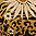 Brown Floral Zebra Wave - icon