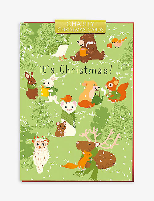圣诞节：冬日动物慈善圣诞卡套装 6 件装