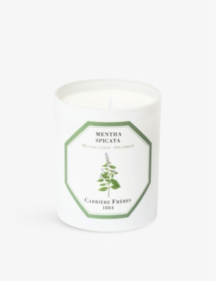 CARRIERE FRERES: Mentha Spicata scented candle 185g