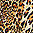 Leopard Commercial - icon