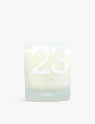 Haeckels Dreamland Candle
