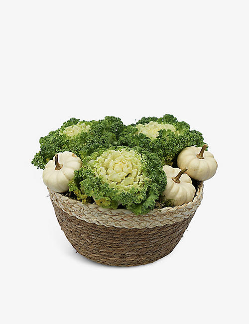 YOUR LONDON FLORIST: White Brassica basket