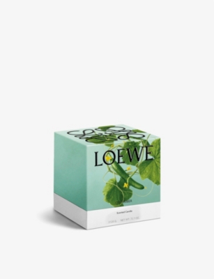Shop Loewe Cucumber Large Scented Candle 2.12kg