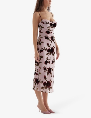 Shop House Of Cb Azura Floral Velvet Devore-embroidered Stretch-woven Midi Dress In Pink