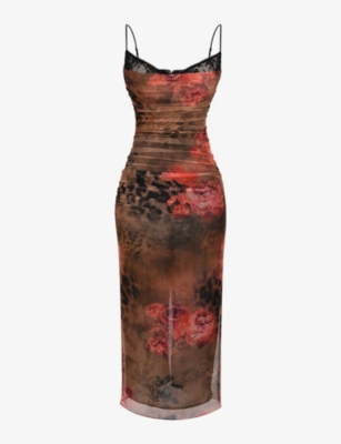 HOUSE OF CB - Nalini floral and leopard-print stretch- mesh midi