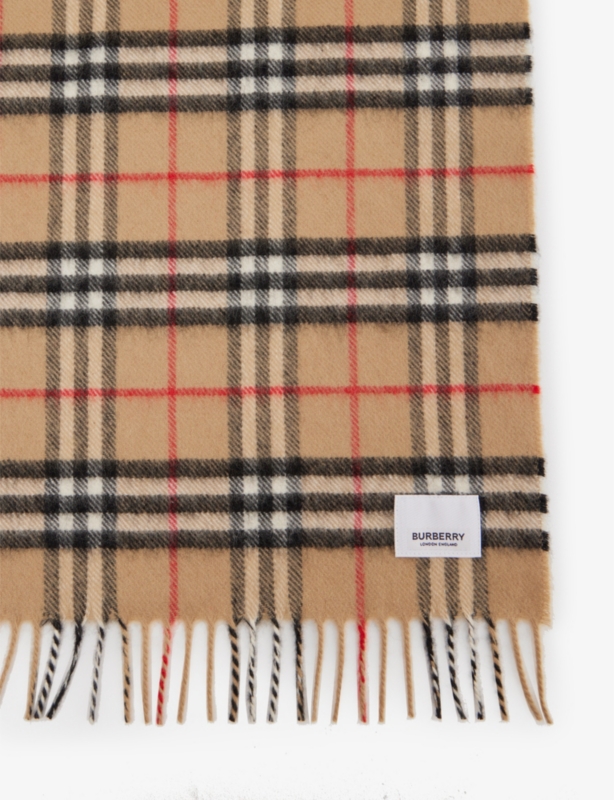 Check-print fringe-embellished cashmere blanket