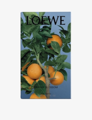 Shop Loewe Orange Blossom Home Fragrance