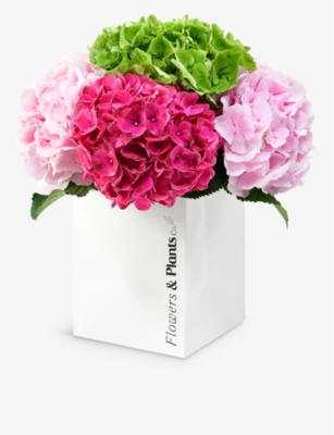 FLOWERS & PLANTS CO.: Cerise pink and green hydrangea bouquet