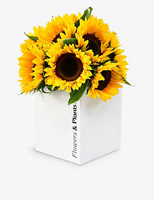 FLOWERS & PLANTS CO.: Sunflowers fresh flower bouquet