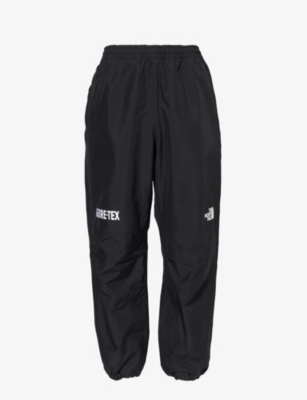 The North Face Black Gtx Mountain Trousers In Black
