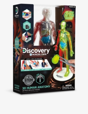 FAO SCHWARZ DISCOVERY: Discovery 3D human anatomy model
