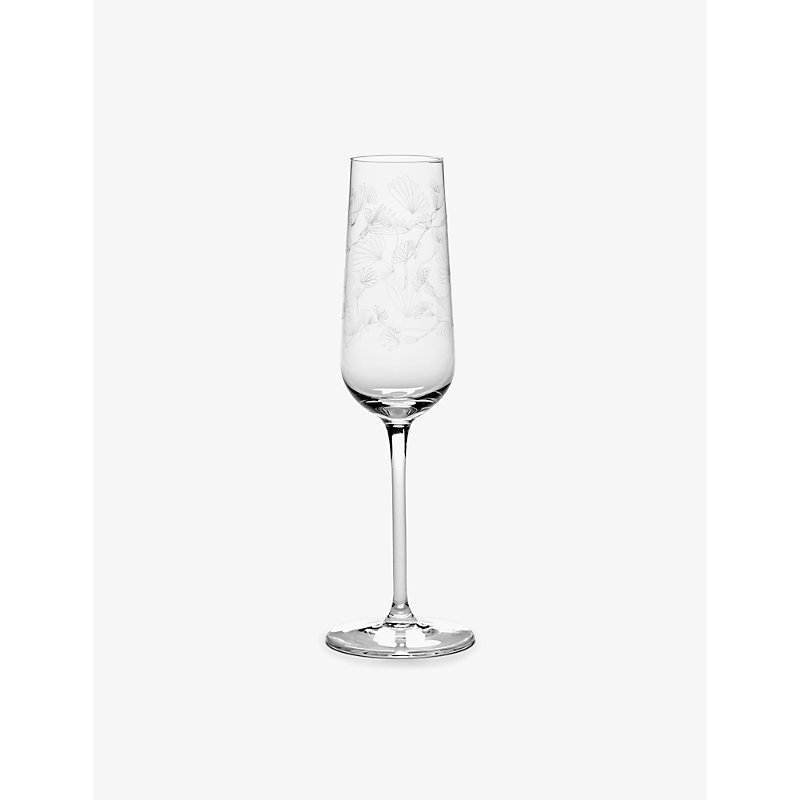 Shop Marni Transparent Serax X Midnight Flowers Champagne Flute Glasses Set Of Four