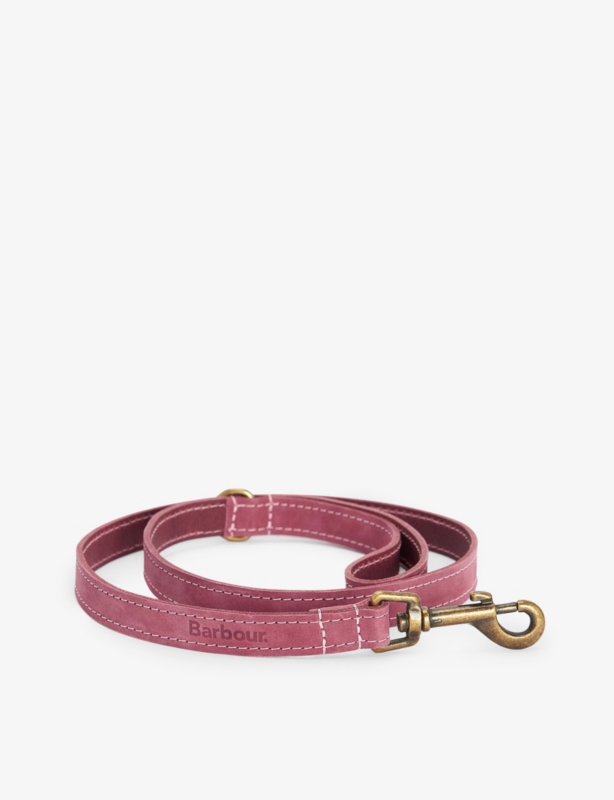 Logo-debossed leather dog collar