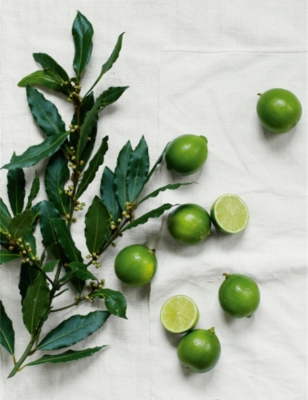 THE WHITE COMPANY: Lime & Bay fragrance oil 15ml